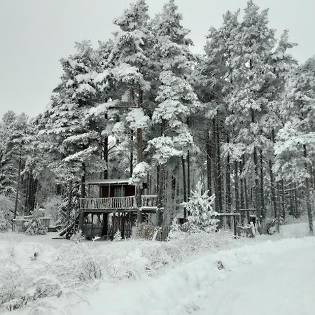 Elulõng Camping Lohusuu Exterior foto