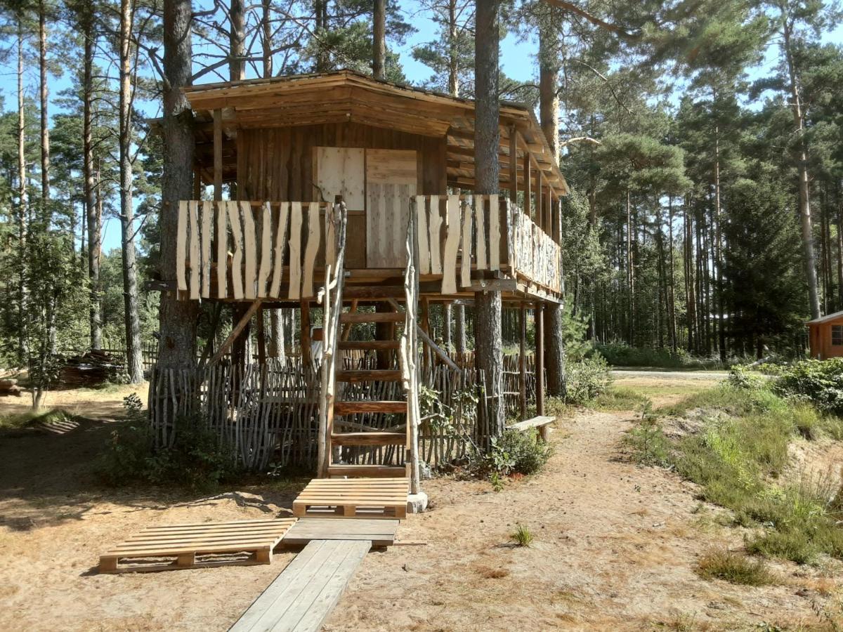 Elulõng Camping Lohusuu Exterior foto