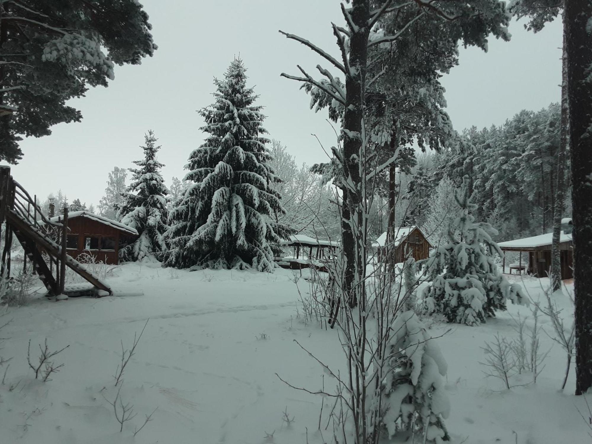 Elulõng Camping Lohusuu Exterior foto