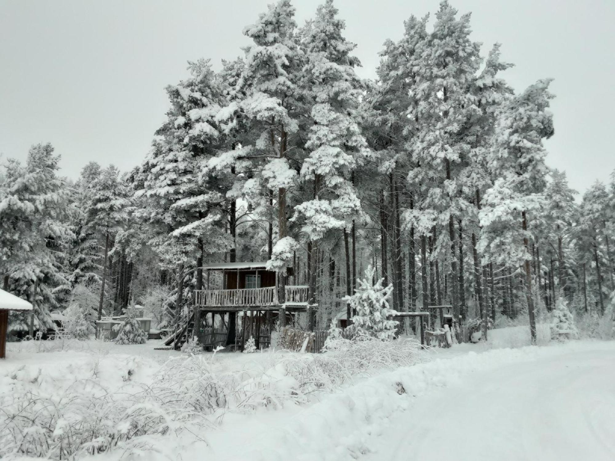 Elulõng Camping Lohusuu Exterior foto