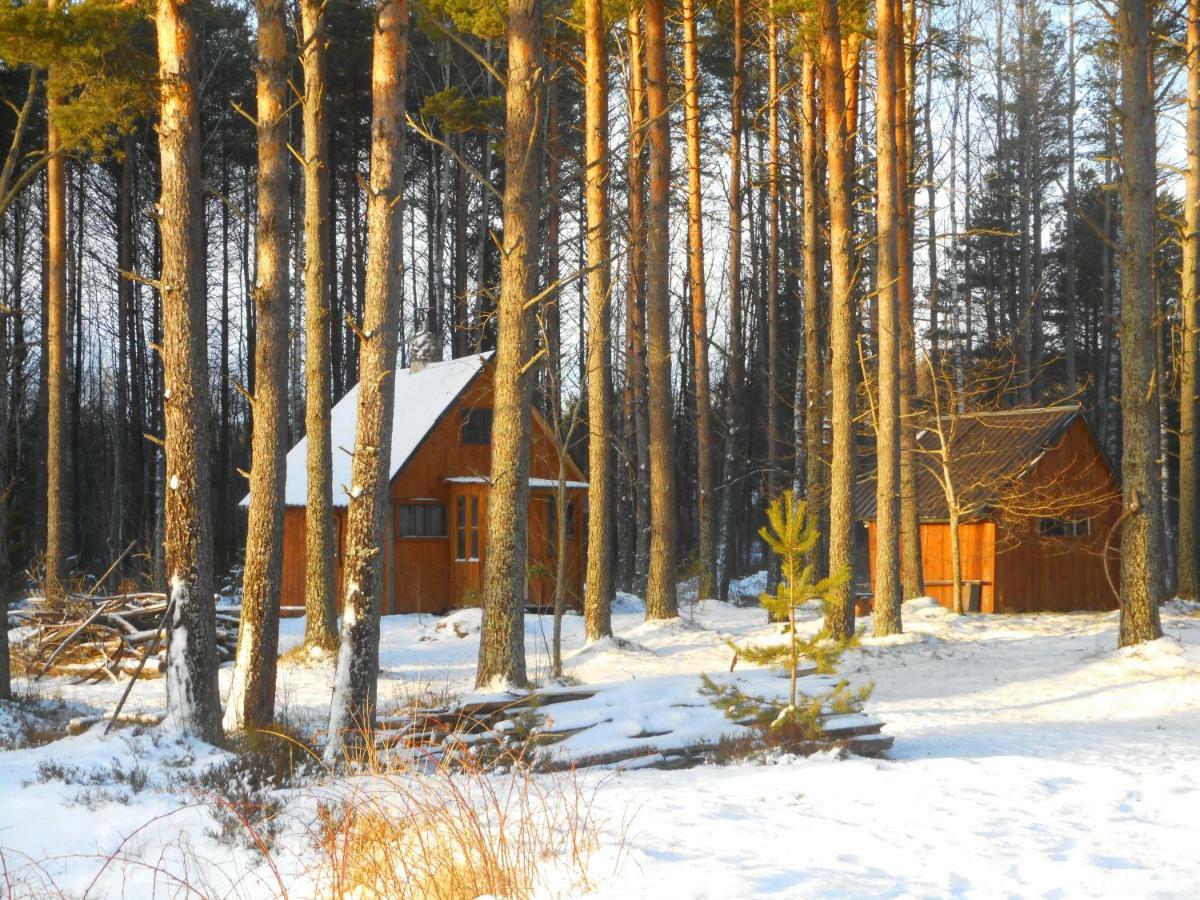 Elulõng Camping Lohusuu Exterior foto